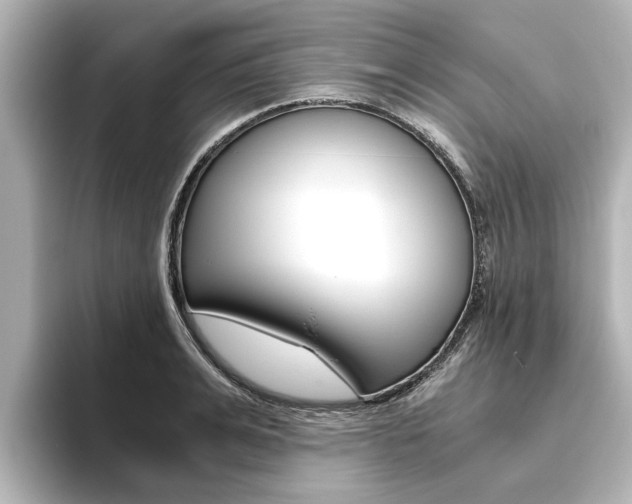 X0000093770991200710160853