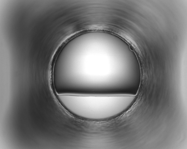 X0000093770992200710160853