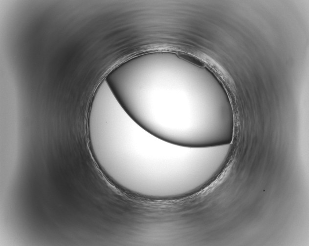 X0000093770993200710160853