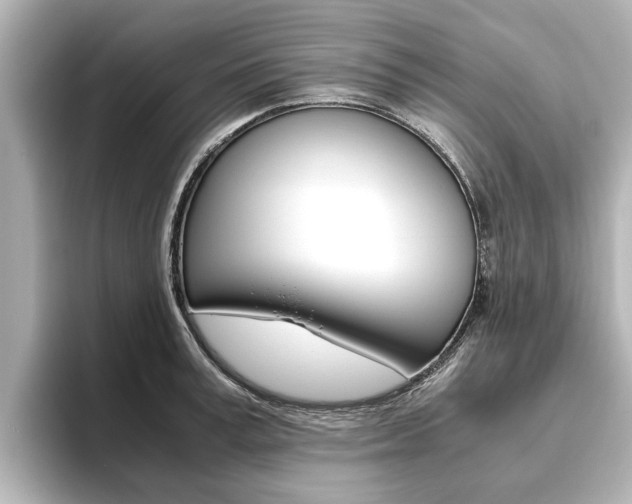 X0000093770995200710160853