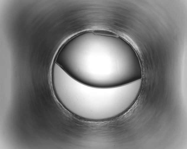 X0000093770996200710160853