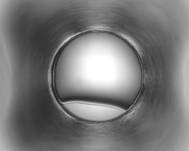 X0000093770999200710160853