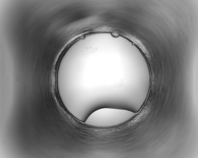 X0000093771000200710160853