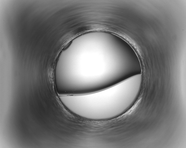 X0000093771001200710160853
