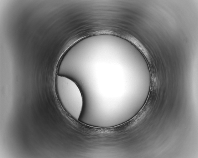X0000093771002200710160853