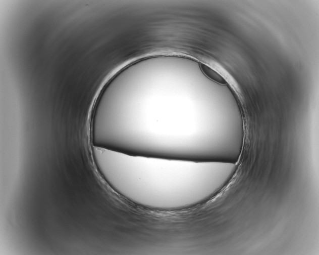 X0000093771004200710160852