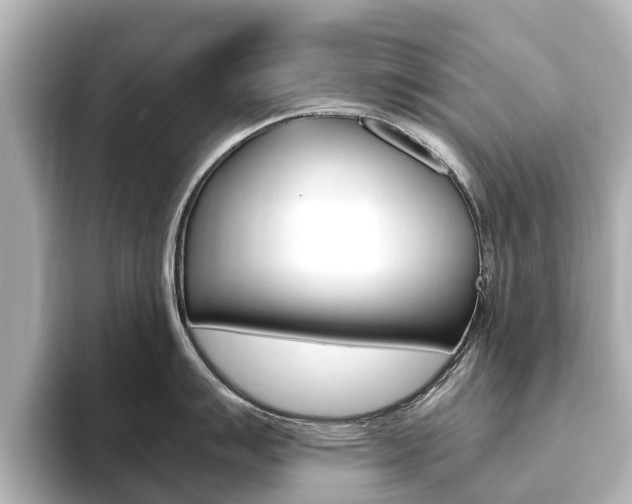 X0000093771007200710160852