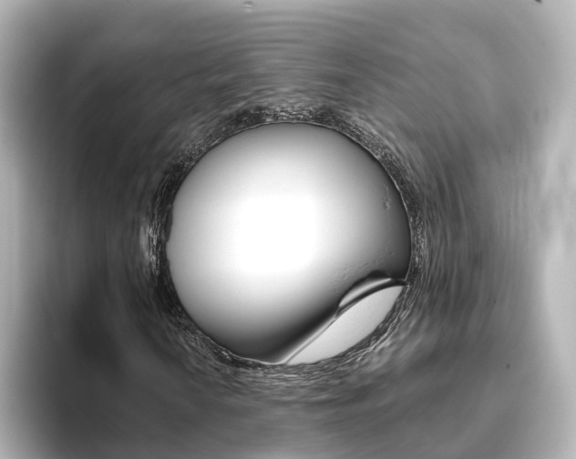 X0000093771010200710160852