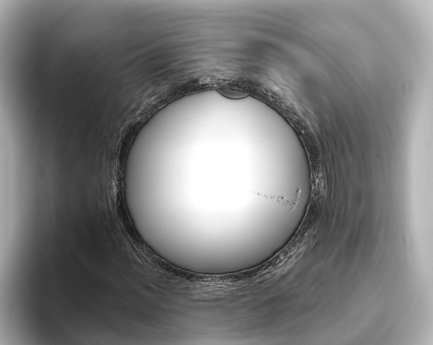 X0000093771012200710160852
