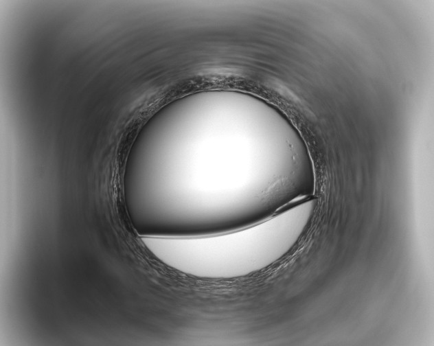 X0000093771014200710160852