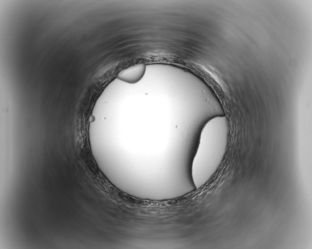 X0000093771015200710160852