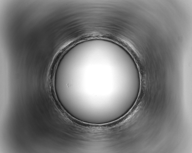 X0000093771018200710160852