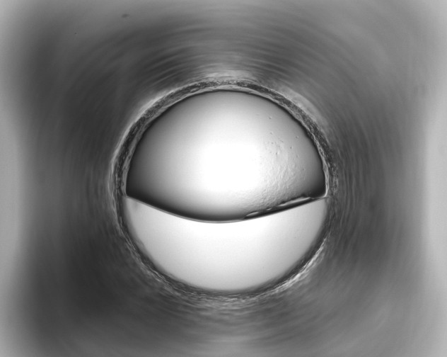 X0000093771022200710160852