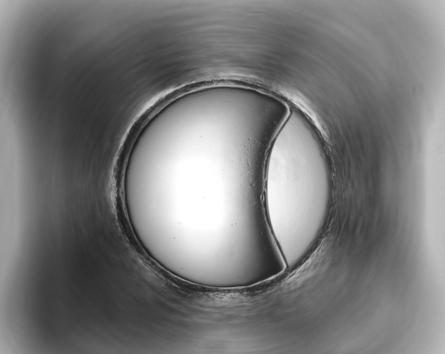 X0000093771024200710160852