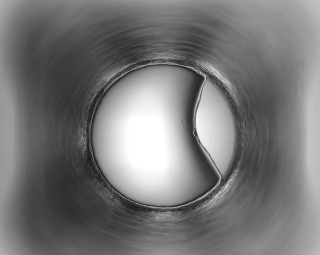 X0000093771025200710160852