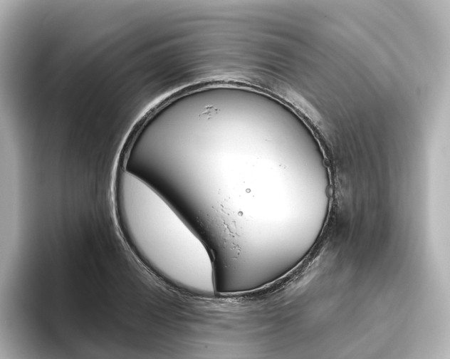 X0000093771028200710160852
