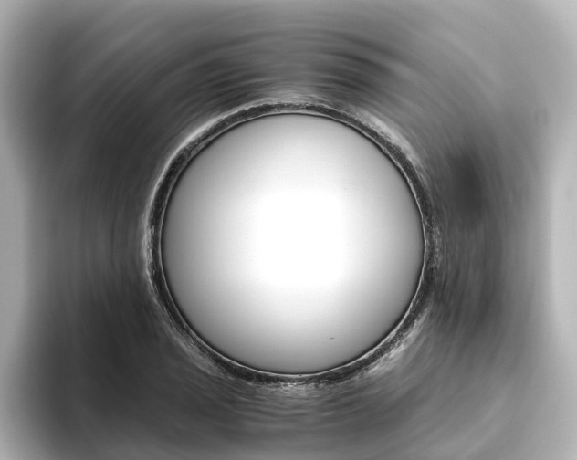 X0000093771029200710160852