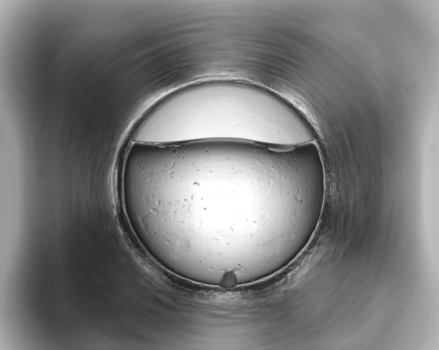 X0000093771030200710160852
