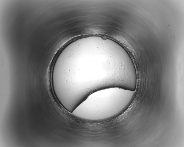 X0000093771031200710160852
