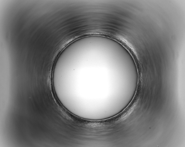 X0000093771033200710160852