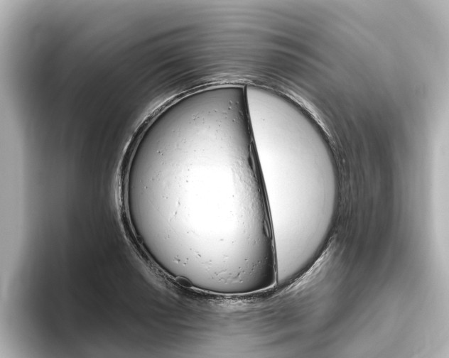 X0000093771034200710160852