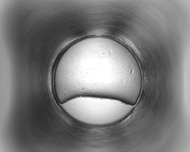 X0000093771035200710160852