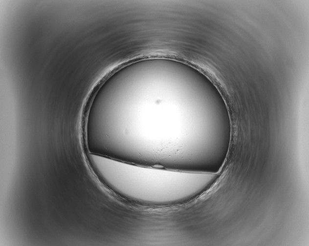 X0000093771038200710160852