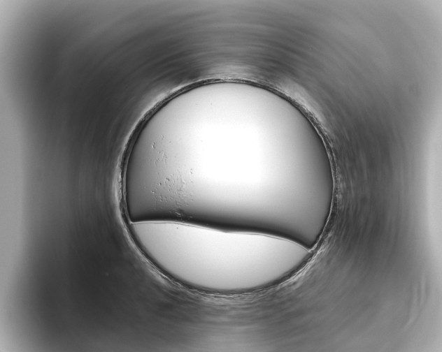 X0000093771040200710160852