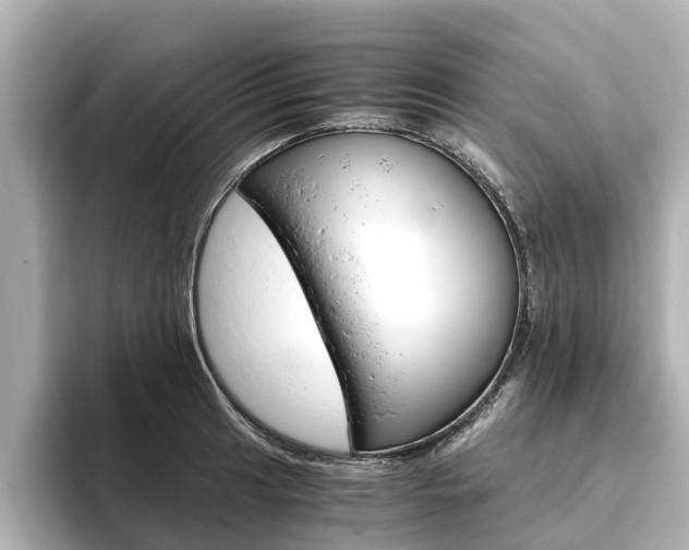 X0000093771041200710160852