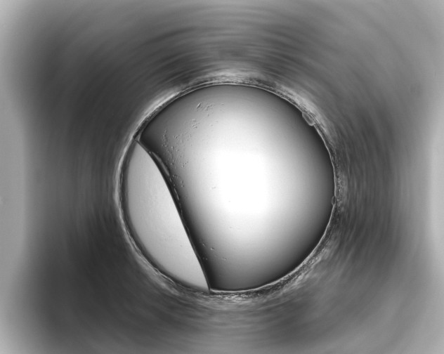 X0000093771042200710160852