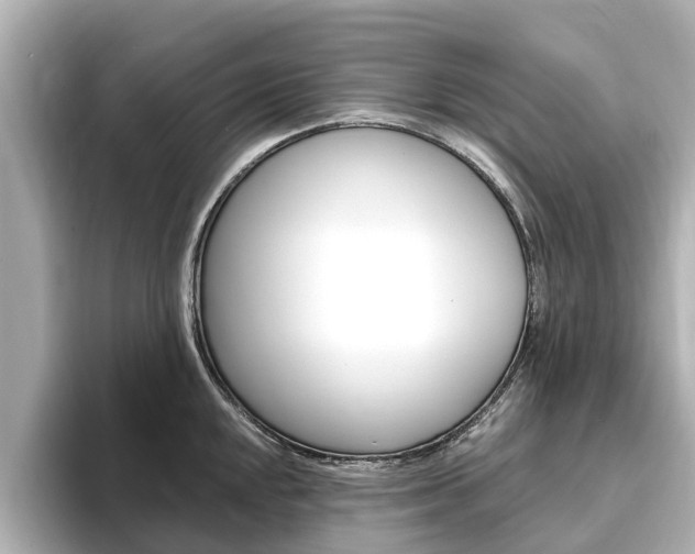 X0000093771048200710160852