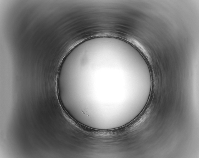 X0000093771049200710160852