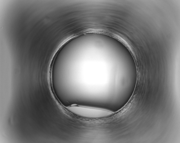 X0000093771050200710160852