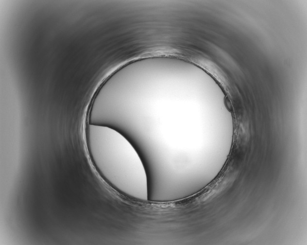 X0000093771055200710160852