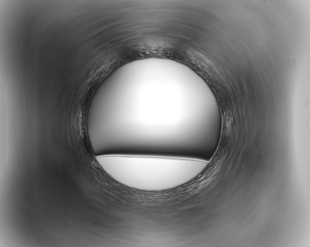 X0000093771060200710160852
