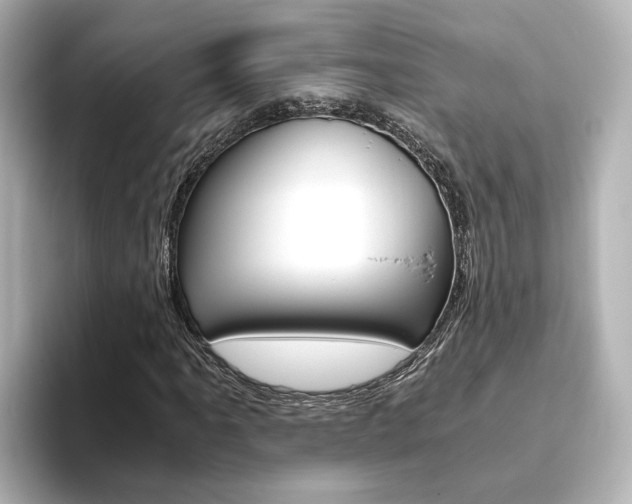 X0000093771061200710160852