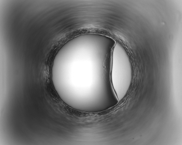 X0000093771062200710160852