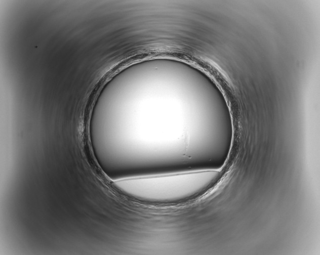 X0000093771065200710160852