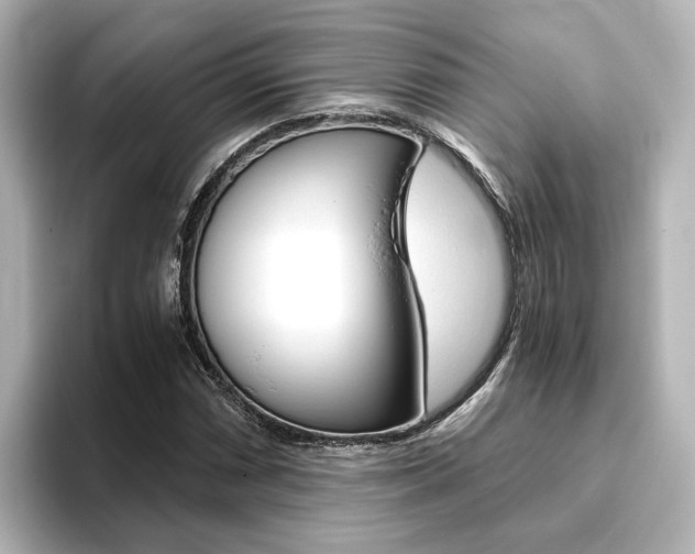X0000093771066200710160852