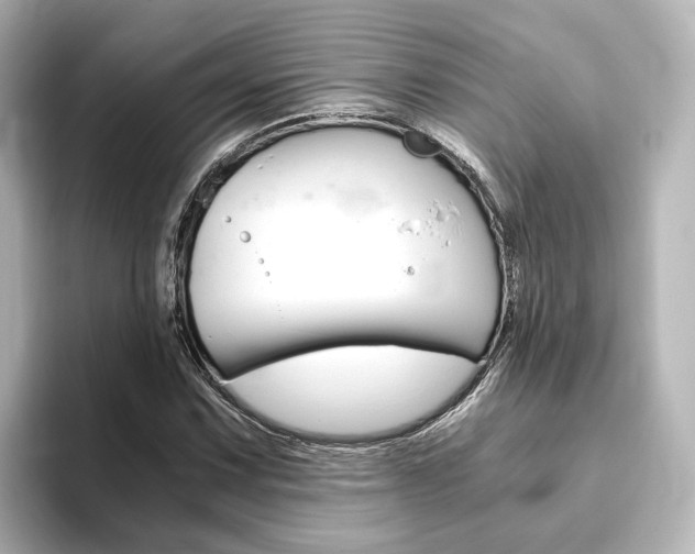 X0000093771067200710160852