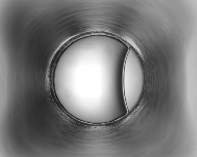 X0000093771068200710160852