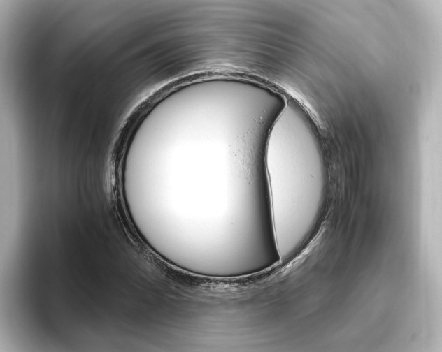 X0000093771070200710160852