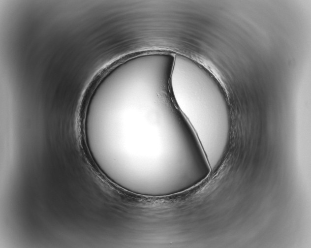 X0000093771072200710160852