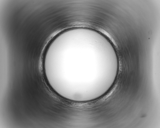 X0000093771074200710160852