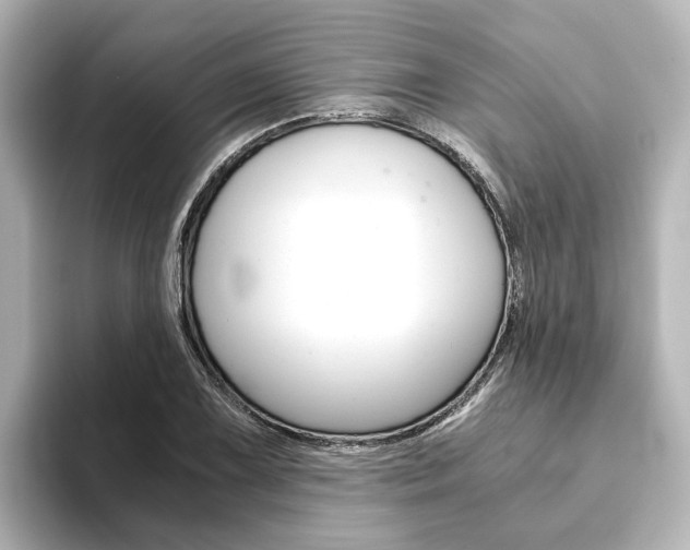 X0000093771075200710160852