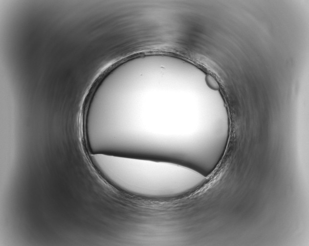 X0000093771079200710160851
