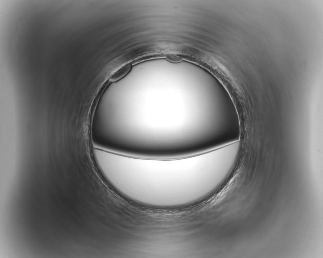 X0000093771081200710160851