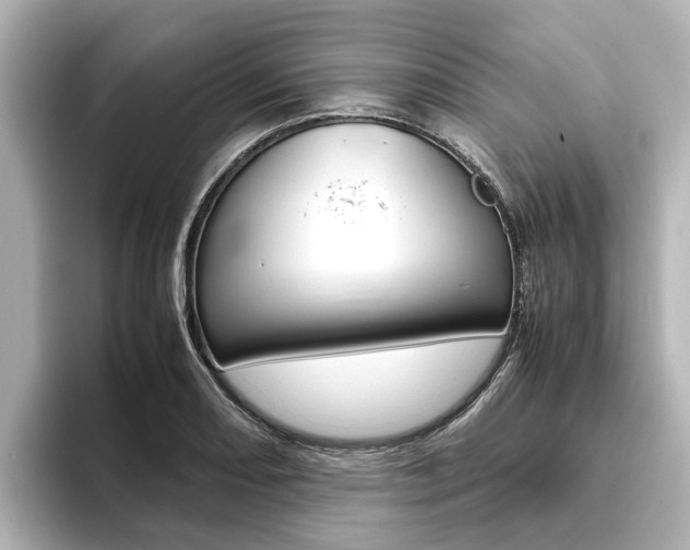 X0000093771082200710160851