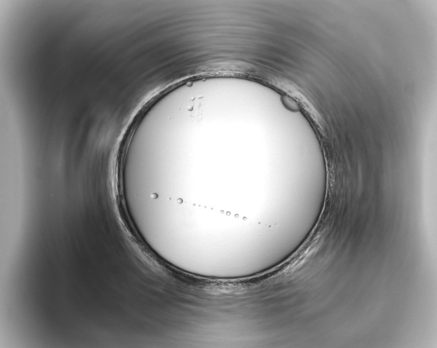 X0000093771083200710160851