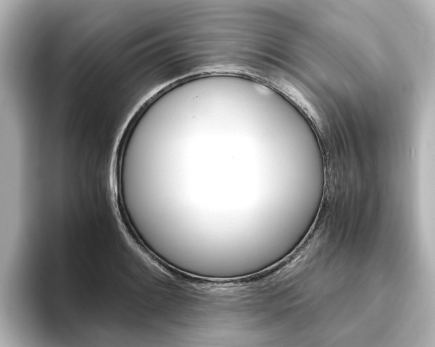 X0000093771084200710160851